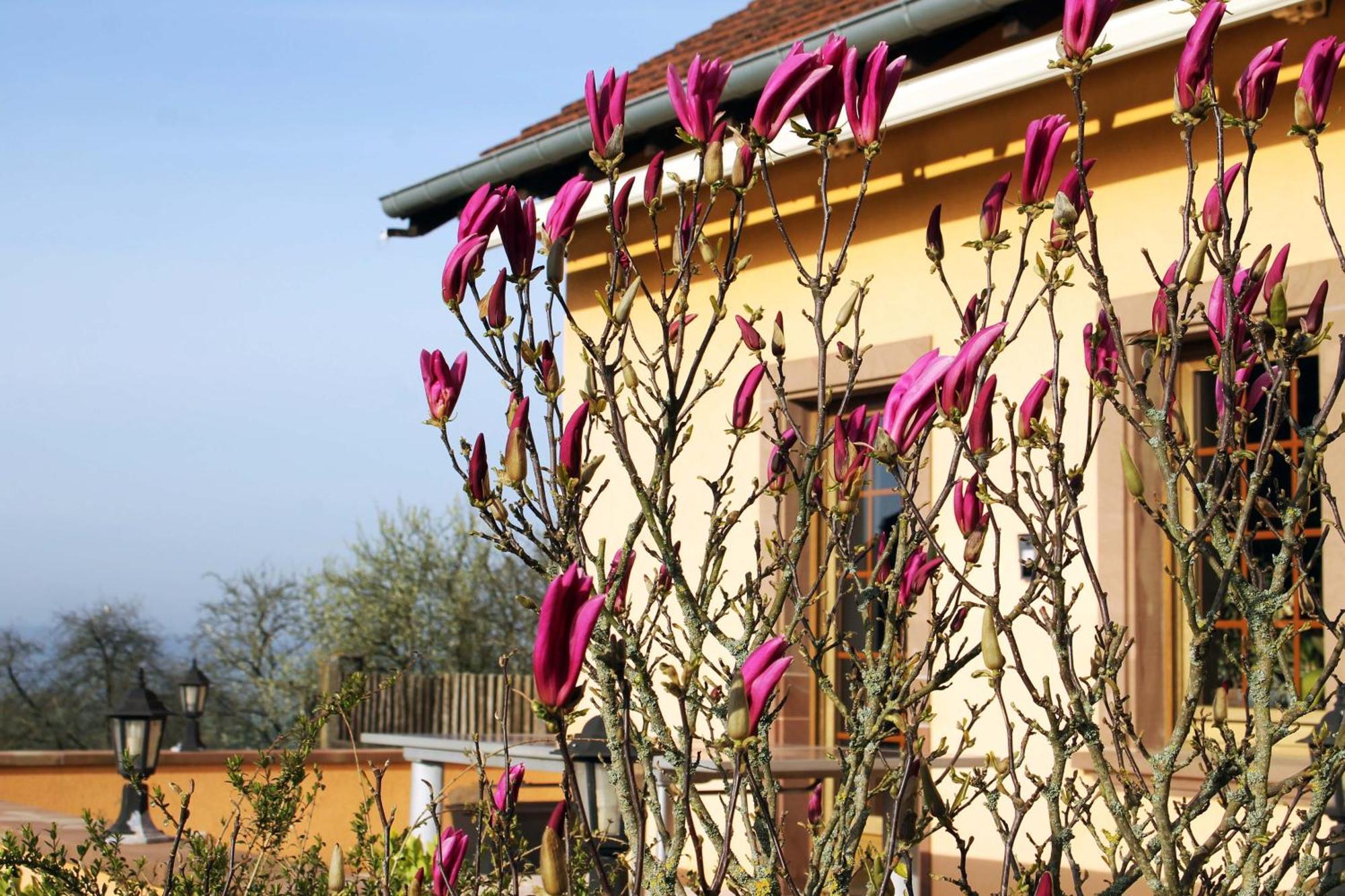 Maison Villabella Butten Bagian luar foto